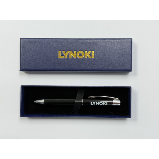LYNOKI Ballpoint Pen, Medium Point and Smooth Writing Black Ink Pen with Pen Box, Black Silver Metal Body, 1 pc, 0.7mm